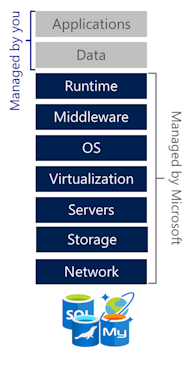 Platform-as-a-Service cloud computing model